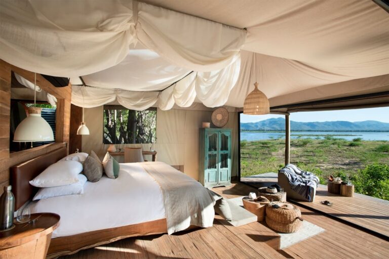 Luxury Africa Tours: The Ultimate Guide to Exclusive Safari Adventures